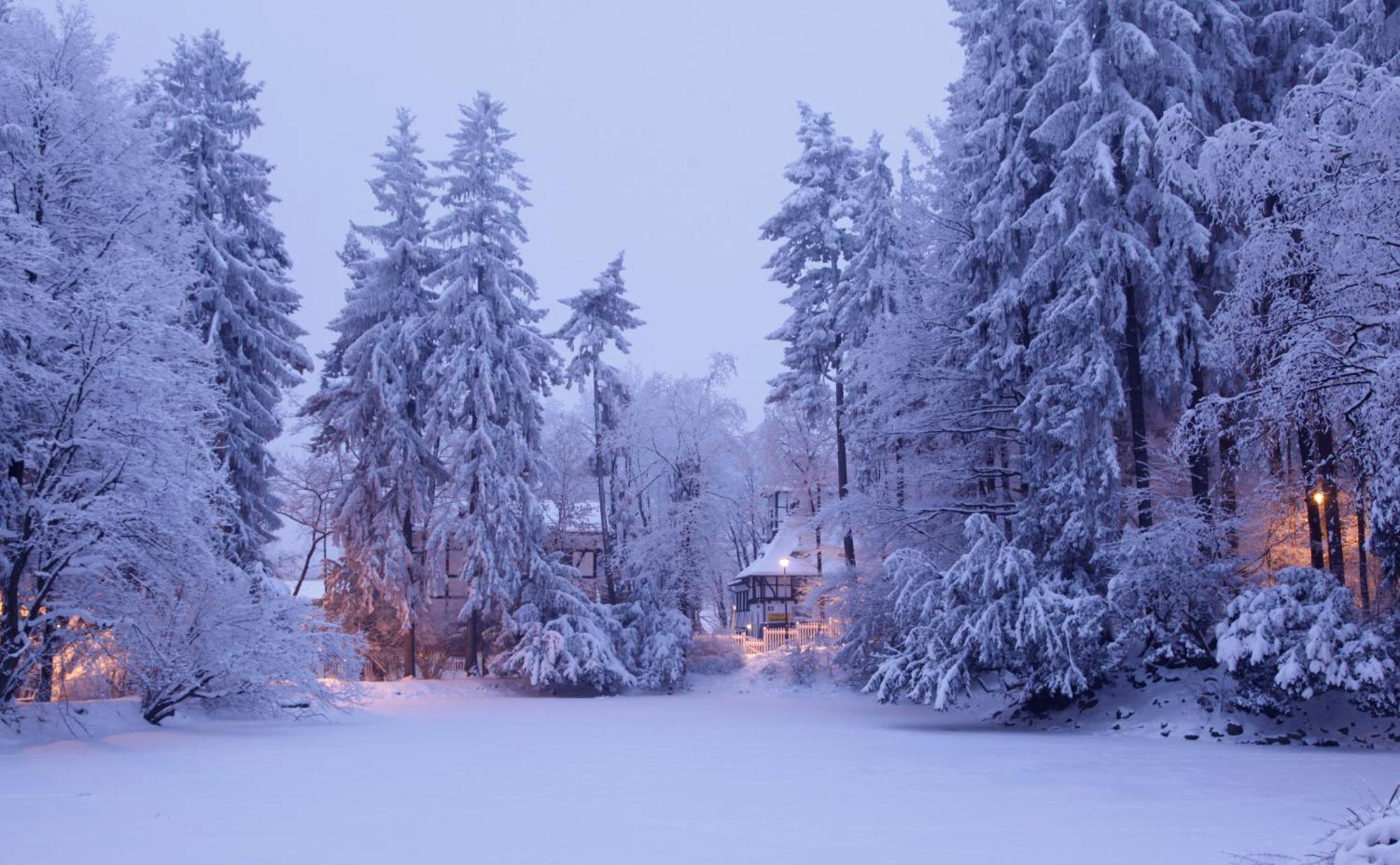 Bukowy Dworek Szczawno-Zdroj Exteriér fotografie