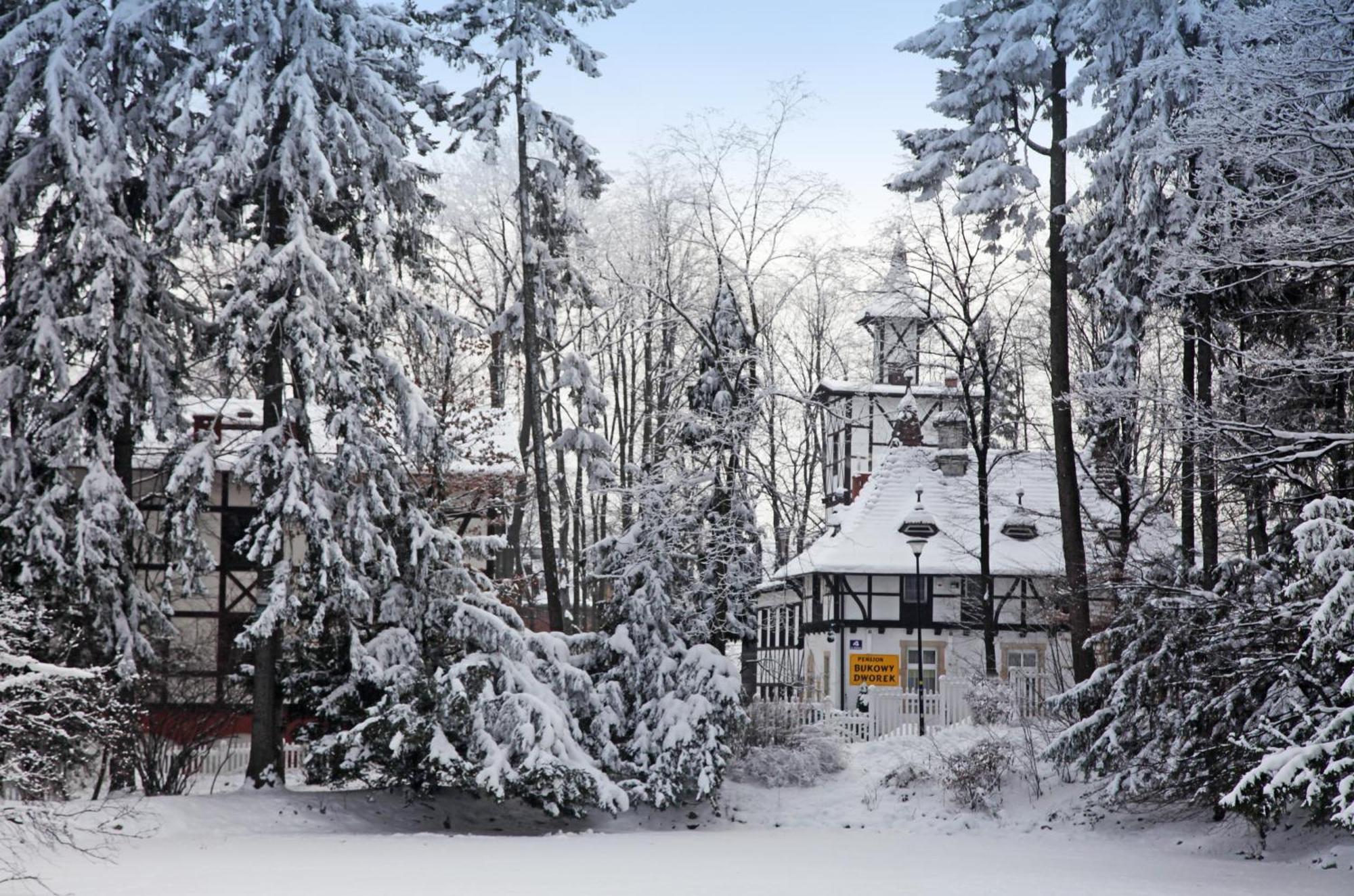 Bukowy Dworek Szczawno-Zdroj Exteriér fotografie