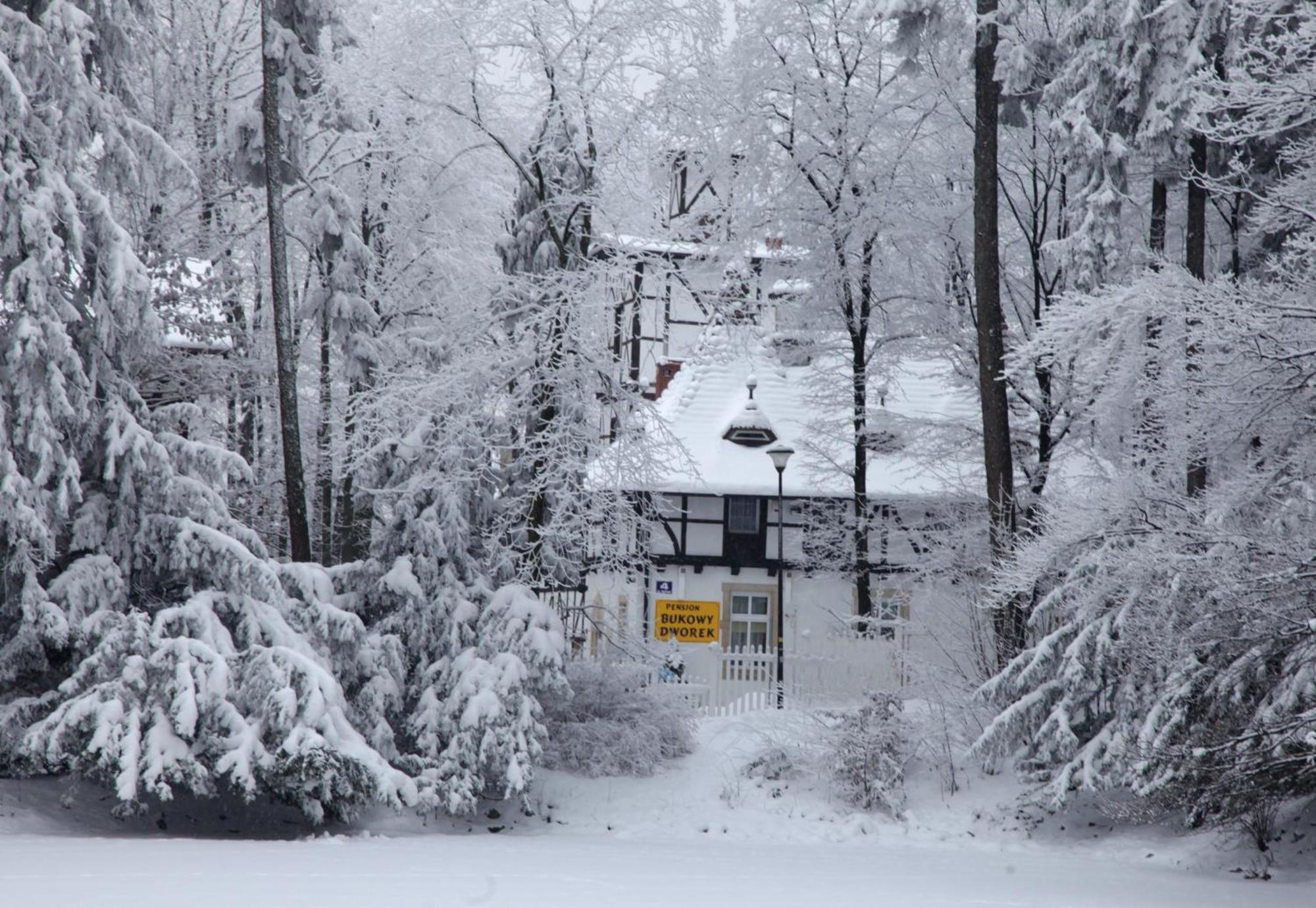 Bukowy Dworek Szczawno-Zdroj Exteriér fotografie
