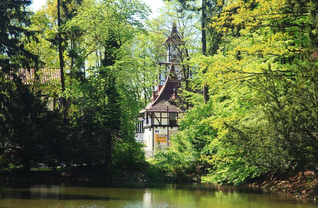 Bukowy Dworek Szczawno-Zdroj Exteriér fotografie