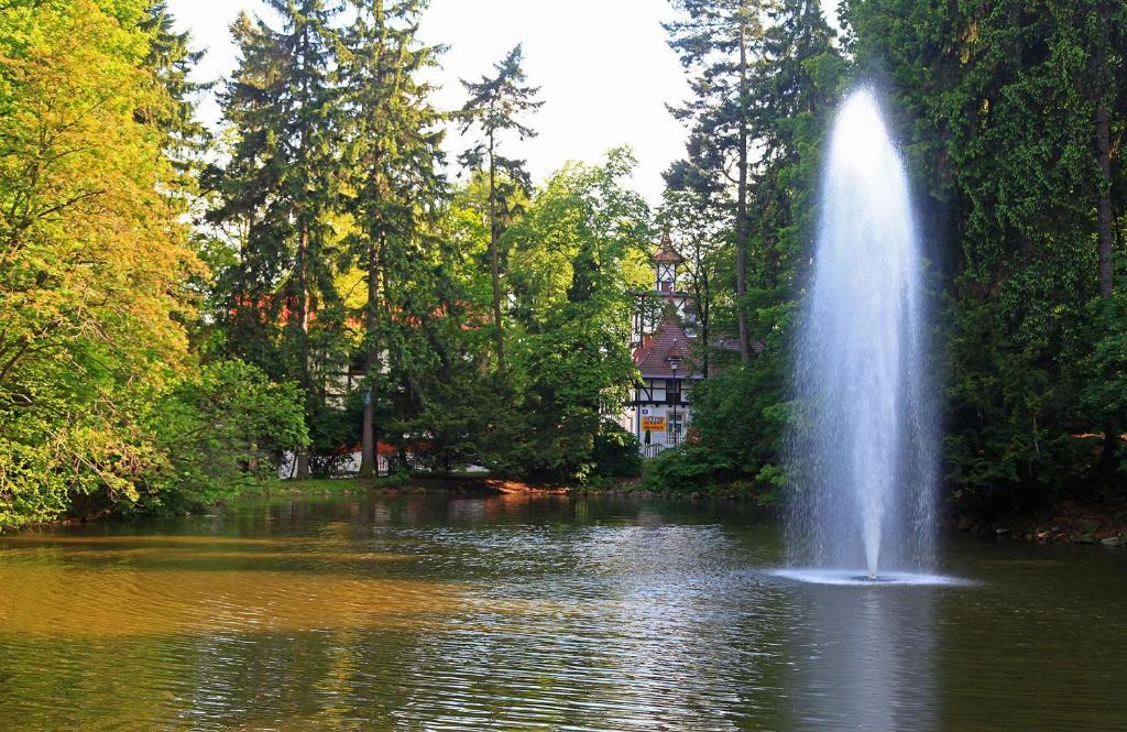 Bukowy Dworek Szczawno-Zdroj Exteriér fotografie